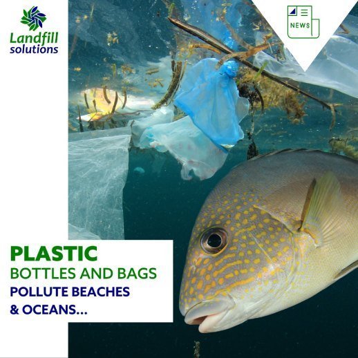 Plastic bottles and bags pollute beaches & oceans…