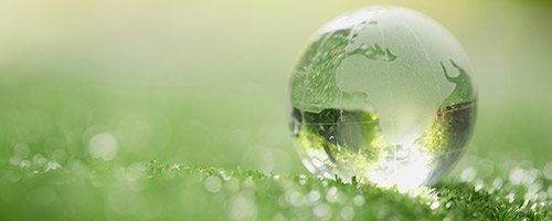 Municipal solid waste management