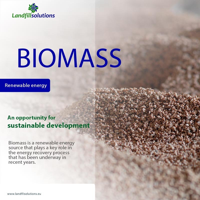 Biomass to energy – an opportunity for sustainable development